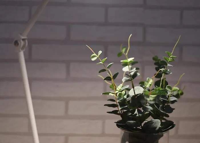 Center Nearby The +3bed +2bath +wifi * Лас-Пальмас-де-Гран-Канарія