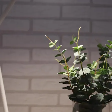 Center Nearby The +3bed +2bath +wifi * Las Palmas de Gran Canaria